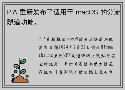 PIA 重新发布了适用于 macOS 的分流隧道功能。